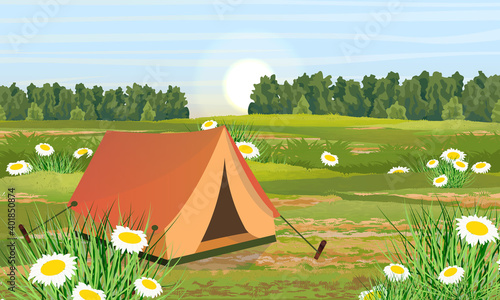 Tent for camping and active tourism. Green meadow with chamomiles and tall lush grass. Forest with deciduous trees on the horizon. Summer or spring realistic vector landscape