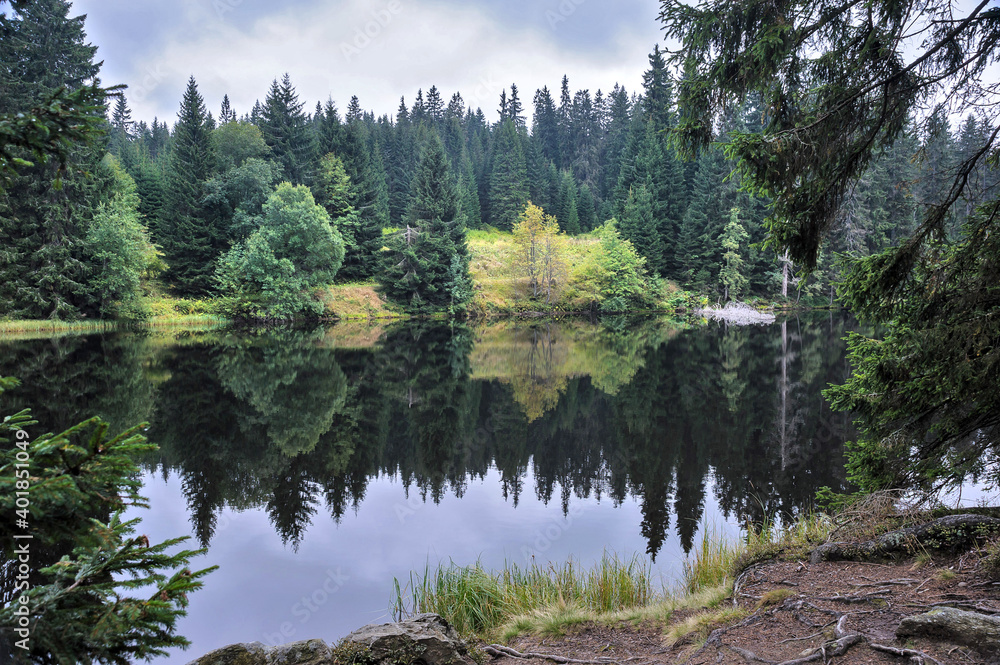 Sumava National Park, Czechia