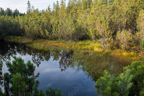 Sumava National Park, Trijezerni slat, Czechia photo