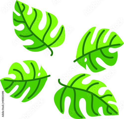 Tropical Green leaves