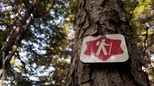 Photography Skagway, Alaska US: Road post on one of the many beautiful nature hiking trails