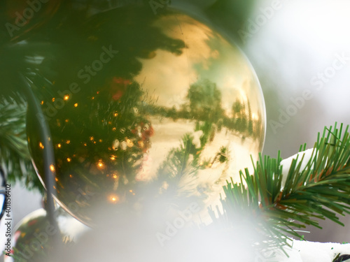 Golden ball on christmas tree in the park