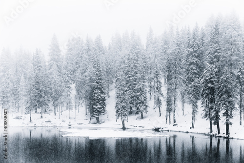 Snow covered trees with frozen water lake photo