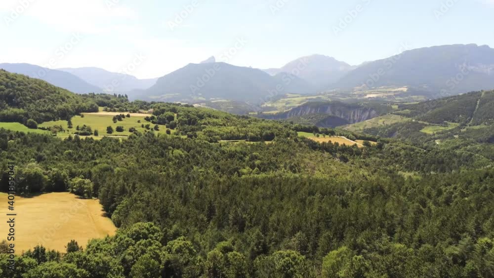 landscape in summer, golden fields, pin forest, drone shoot landscape in summer, golden fields, pin forest, drone shoot