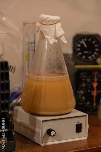 Homebrewing is on the rise photo