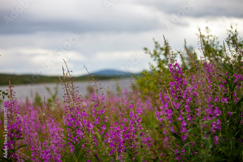 nature and beaches of the Kola peninsula russia