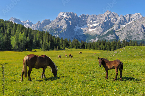 Dolomiti, Italy