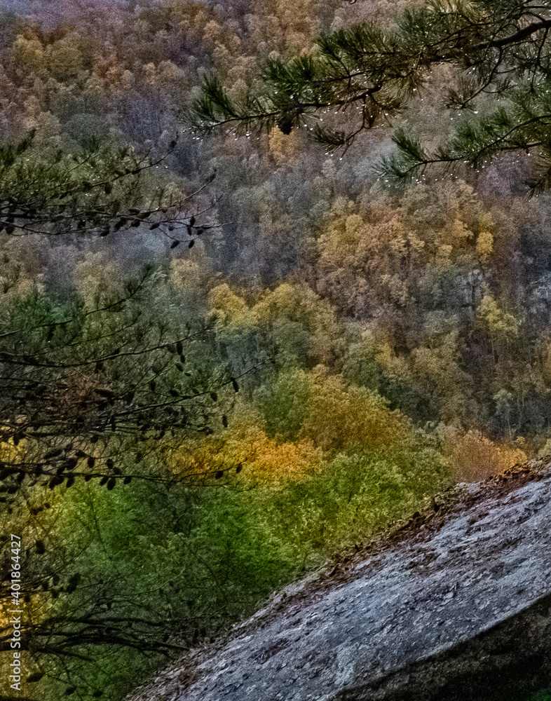 Autumn Color Autumn Color