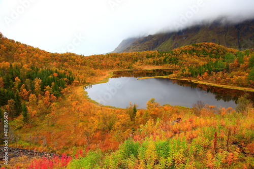 autumn landscape with lake