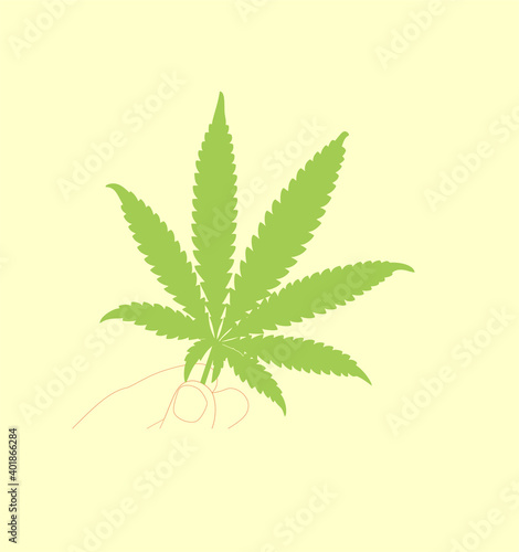 Cannabis leaf in hand. Marijuana medical leaf in hand, cannabis cultivation. Vector illustration template.