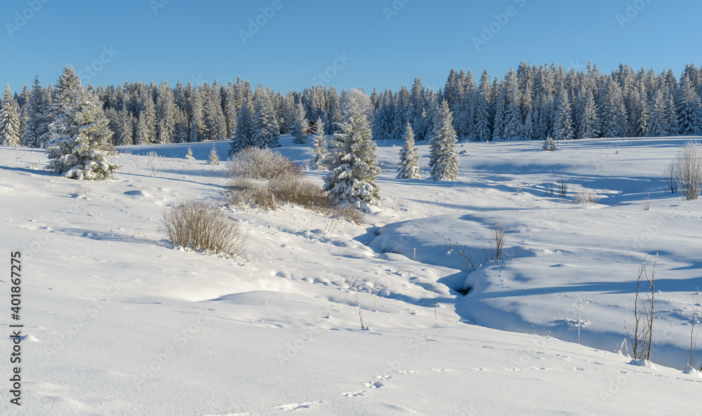 Obraz premium winter in Sumava National Park, Filipova Hut, Czechia