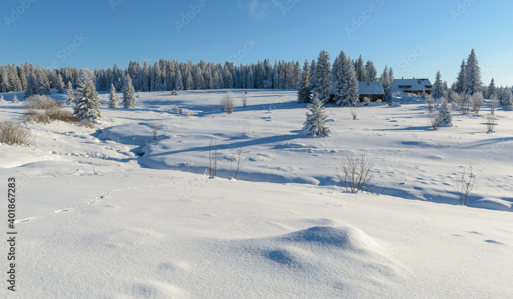 winter in Sumava National Park, Filipova Hut, Czechia