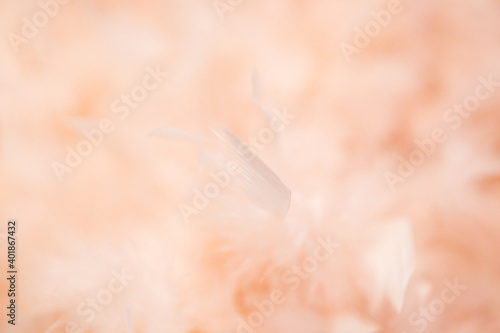 pink fur texture, pink background on Valentine's Day, blurred wallpaper