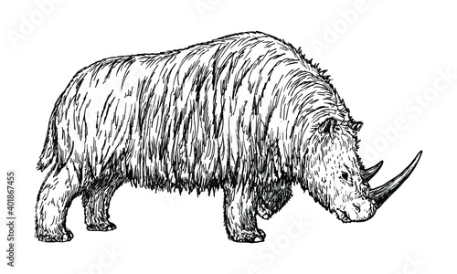 Drawing of Woolly rhinoceros - hand sketch of extinct mammal