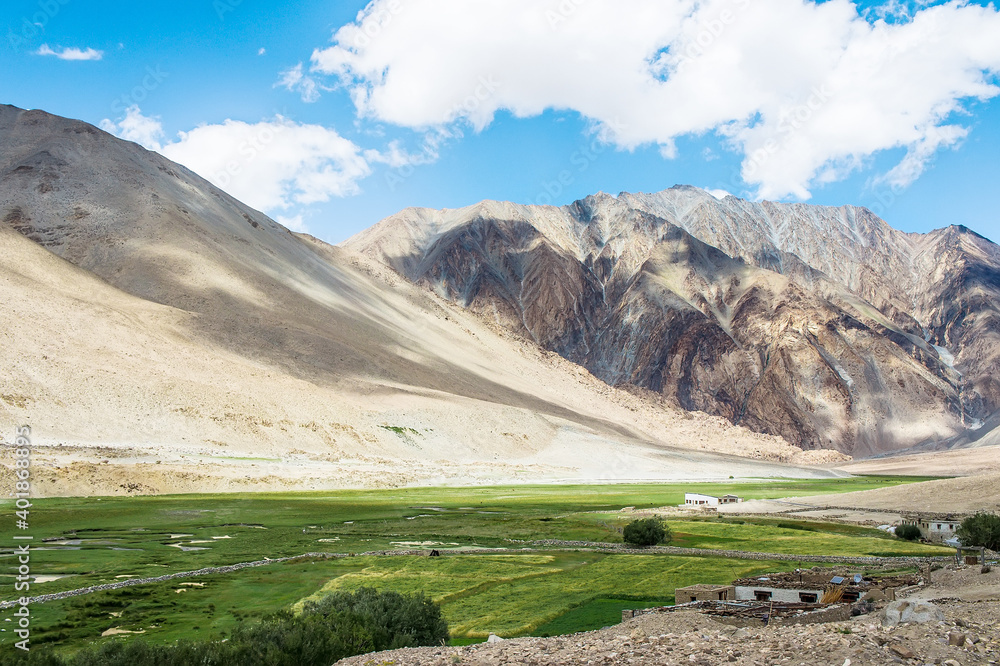 Fototapeta premium Panoramas of the Himalayas, North India, Ladakh and Kashmir, Zanskar, Tibet and the Tibetan plateau, alpine meadow in the mountains