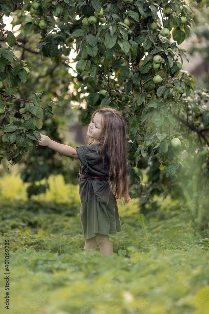 
girl in an apple orchard, a lot of apples, summer, harvest