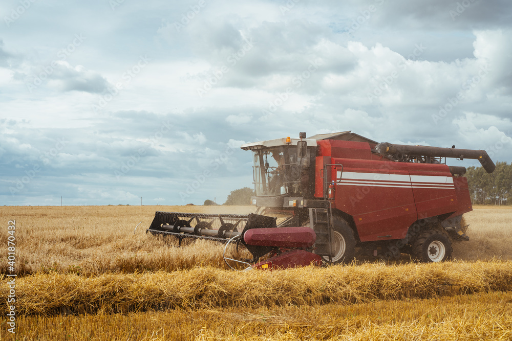 Combine harvester harvests ripe wheat. Ripe ears of gold field on the sunset cloudy orange sky background. . Concept of a rich harvest. Agriculture image. Combine harvester harvests ripe wheat. Ripe ears of gold field on the sunset cloudy orange sky background. . Concept of a rich harvest. Agriculture image.