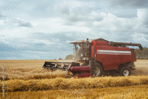 Combine harvester harvests ripe wheat. Ripe ears of gold field on the sunset cloudy orange sky background. . Concept of a rich harvest. Agriculture image.