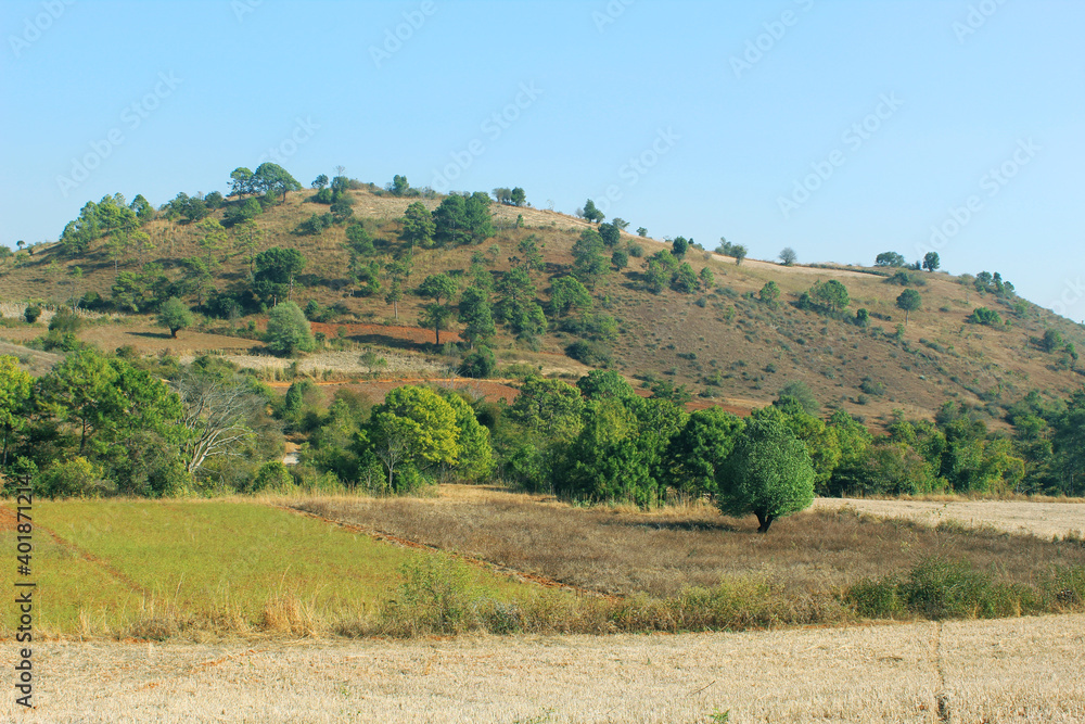 beautiful colorful landscape with fields, trees and hills in the morning in Myanmar