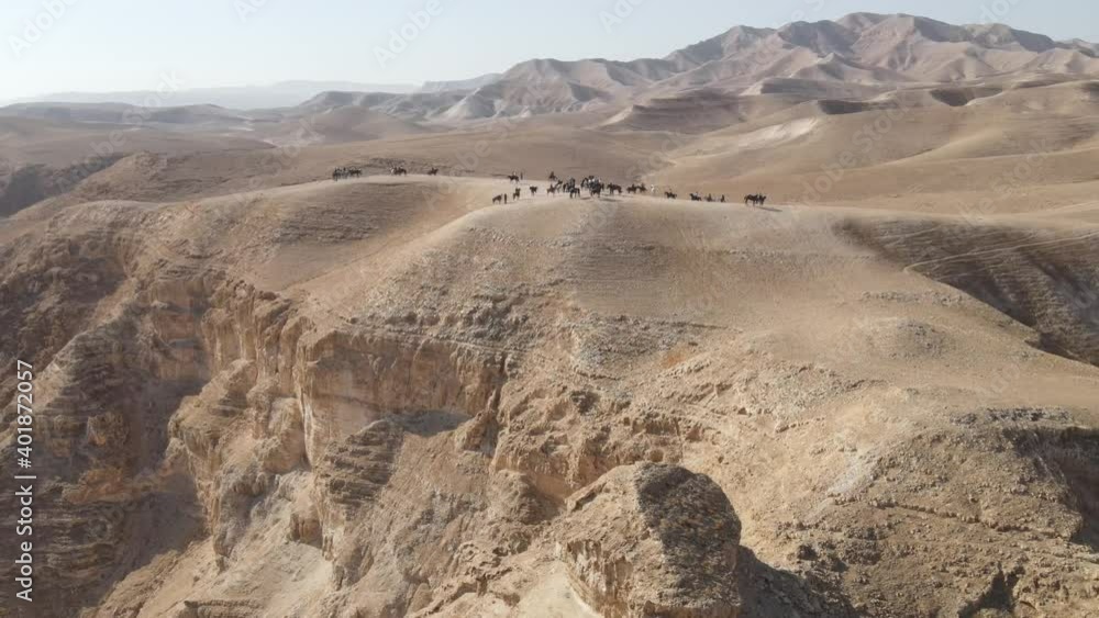 Arabian horse riding in the desert. endurance race in a beautiful desert landscape near cliffs and rural terrain , Aerial shot
Arabian horse riding in the desert. endurance race in a beautiful desert landscape near cliffs and rural terrain , Aerial shot