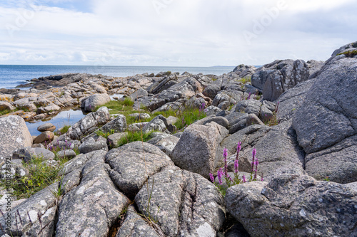 A beautiful shot of a rocky shore on the Hammerknuden Trail in Bornholm, Denmark photo