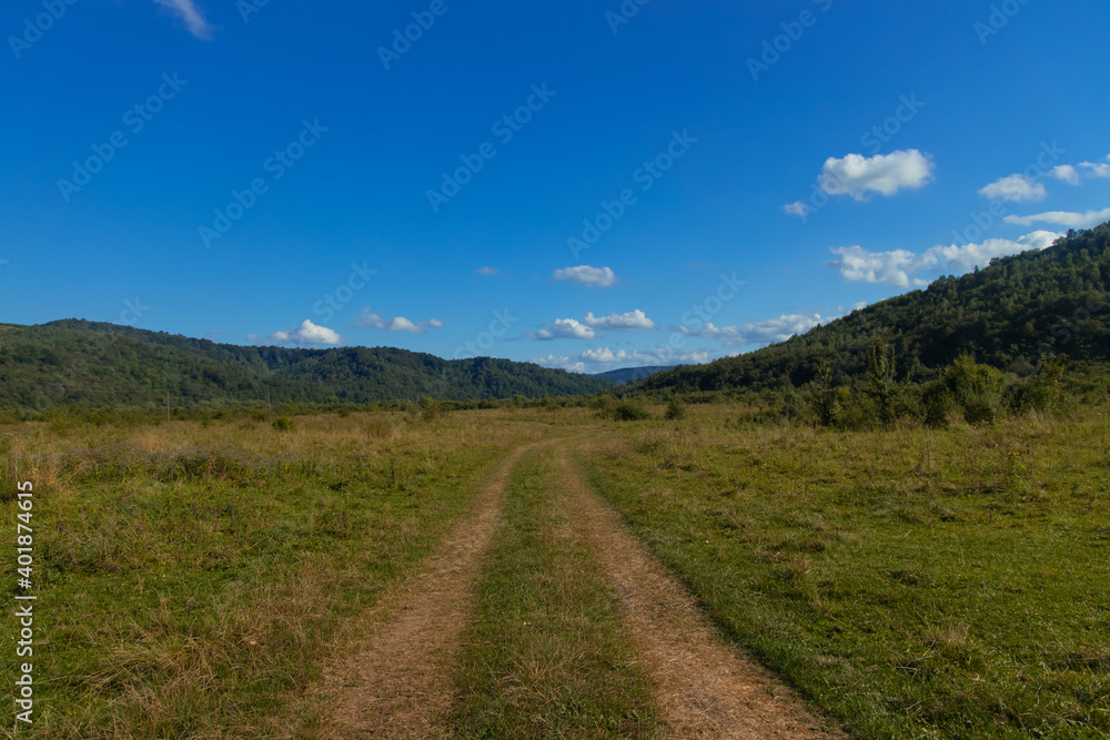 rustic green field nature environment space with dirt path way tracks from car tire and mountain horizon background scenic view in clear weather day time rustic green field nature environment space with dirt path way tracks from car tire and mountain horizon background scenic view in clear weather day time