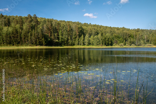 beautiful forest lake