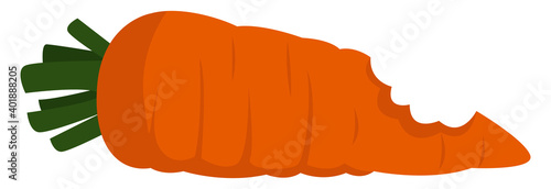Bitten carrot, illustration, vector on a white background.