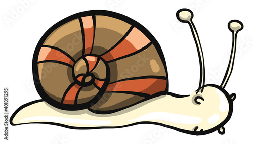 Small snail, illustration, vector on a white background.