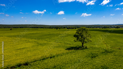 A panoramic shot of a green landscape filled with forest  trees and green grass under the sky.