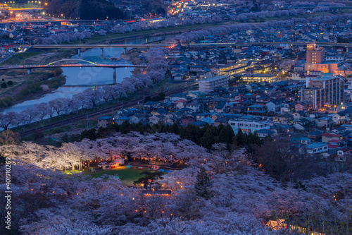 Fototapeta Naklejka Na Ścianę i Meble -  船岡城址公園からの一目千本桜