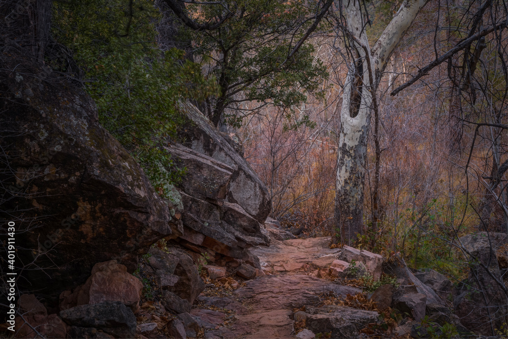 Sedona Arizona USA Grasshopper Trail