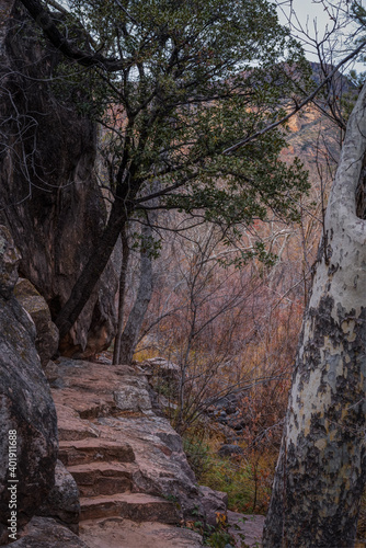 Sedona Arizona USA Grasshopper Trail