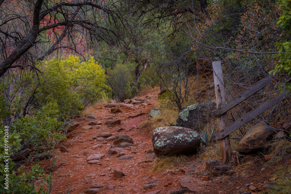 Sedona Arizona USA Grasshopper Trail