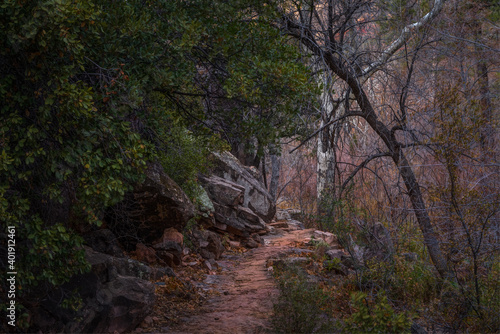 Obraz na płótnie Sedona Arizona USA Grasshopper Trail w salonie