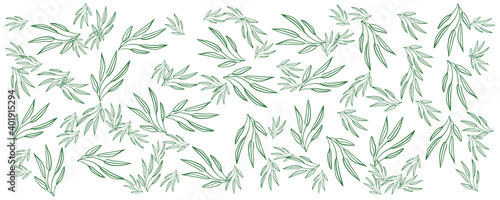 Fototapeta Naklejka Na Ścianę i Meble -  Tropical flowers border seamless pattern in sketch style on white background - hand drawn exotic blooms of monstera, protea, magnolia and plumeria with colorful line contour. Vector illustration