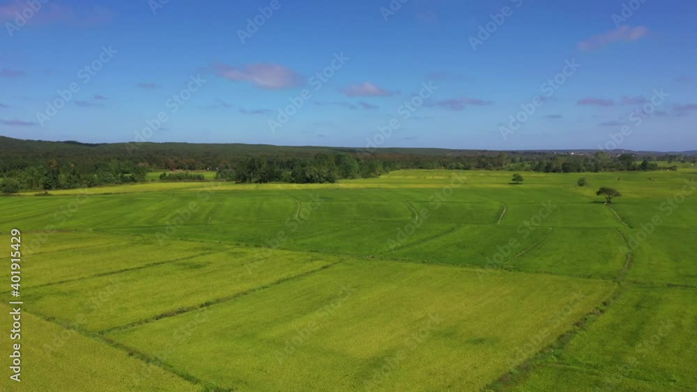A panoramic shot of a green landscape filled with forest, trees and green grass under the sky. A panoramic shot of a green landscape filled with forest, trees and green grass under the sky.