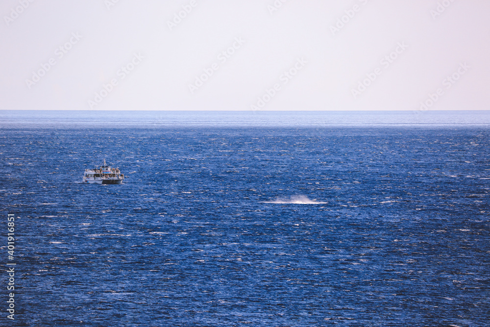 Whale watching sailboat, Maui, Hawaii