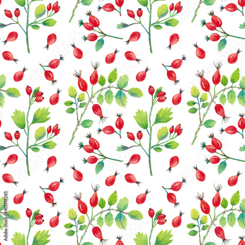 Seamless pattern with hawthorn and wild rose on a white background. Drawn in watercolor by hand.
