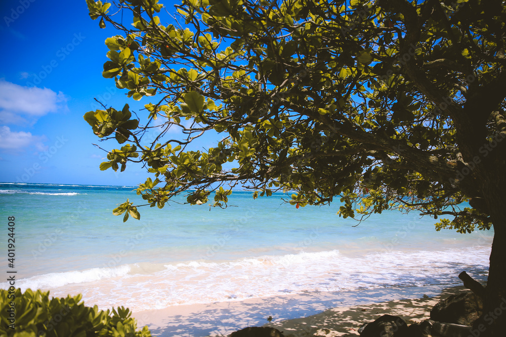 Beach at Oahu island, Hawaii landscape