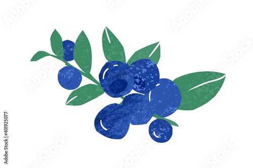 Hand drawn twig with bunch of fresh ripe wild blueberry vector flat illustration. Vitamin berries for healthy nutrition isolated on white. Fresh edible fruit plant with stem and leaves