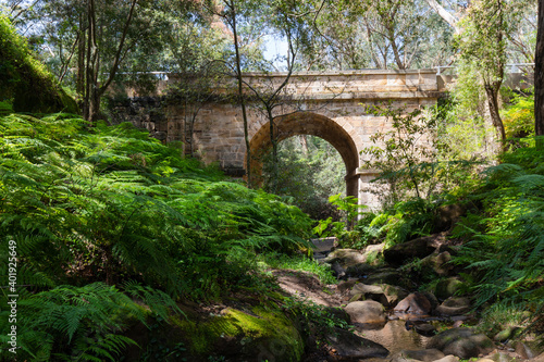 Ferns around Lennox Bridge  the oldest arch bridge in Australia.
