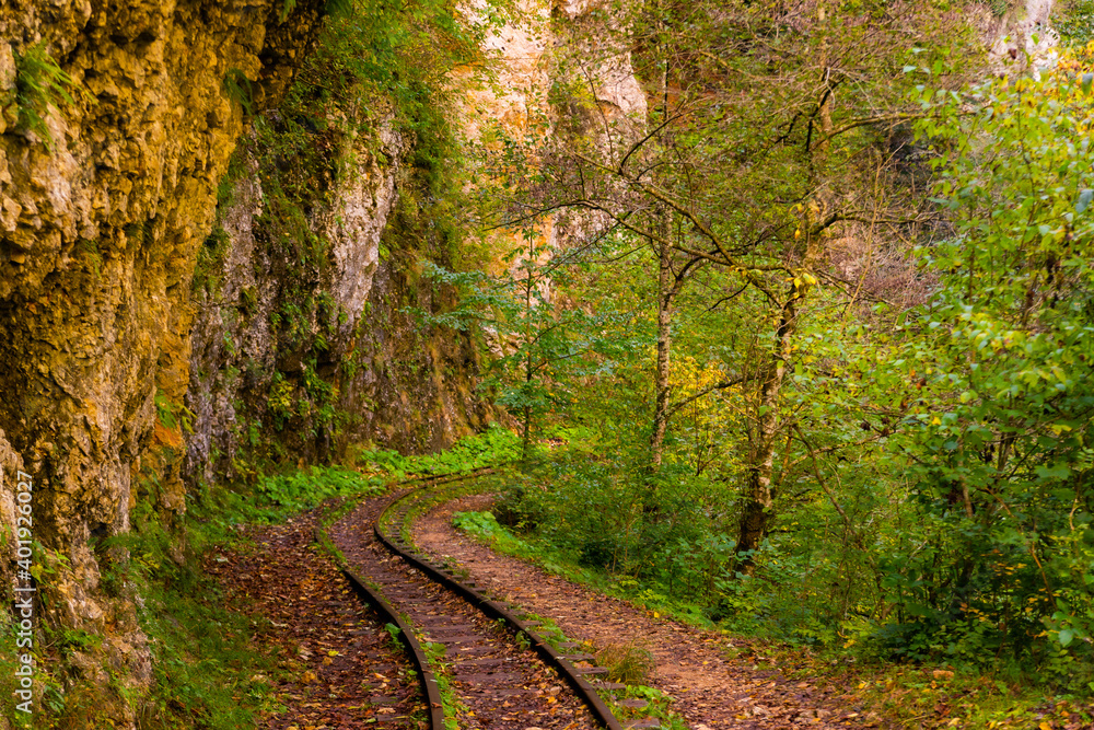 Obraz premium Old narrow gauge railway in mountain region.
