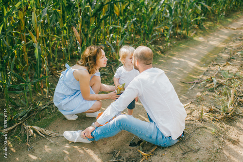 Young beautiful mum in light blue dress, strong caucasian dad with short dark hair in white shirt and blue jeans playing with their cute little blond son in a cornfield in summer