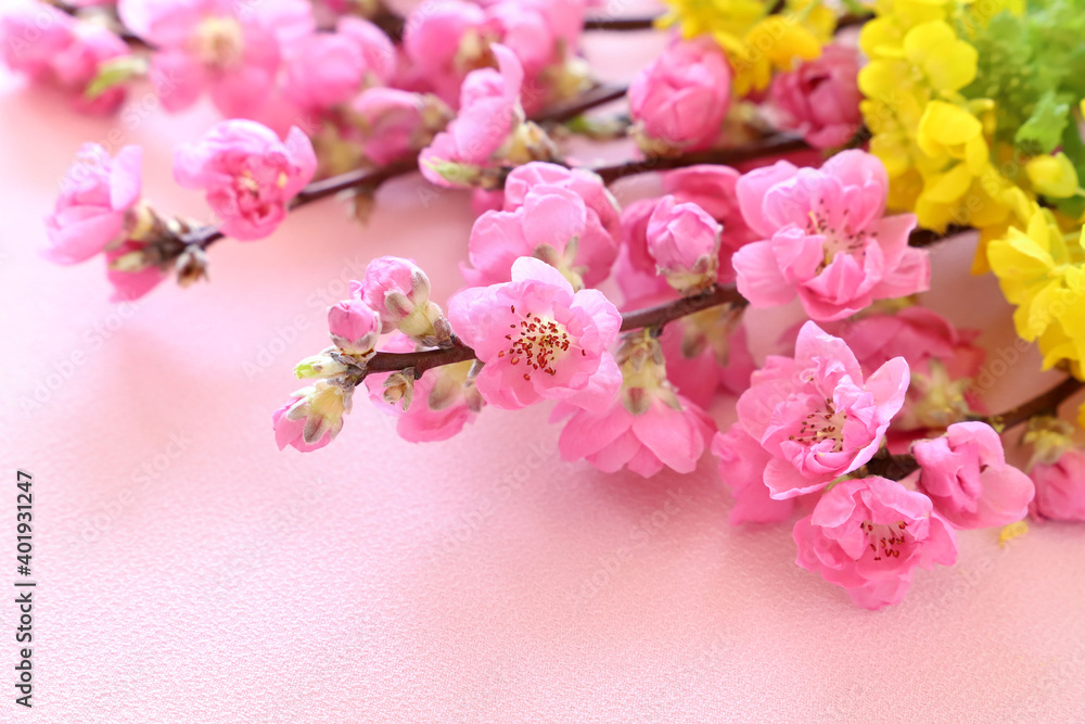 ひなまつり 桃の花 菜の花 Stock 写真 | Adobe Stock