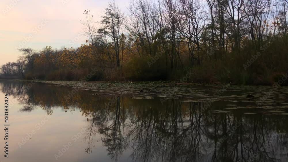 A video shot at sunset between the long trees with a drone in Sakarya Karasu Lake which is in Turkey. It is a real natural beauty. A video shot at sunset between the long trees with a drone in Sakarya Karasu Lake which is in Turkey. It is a real natural beauty.