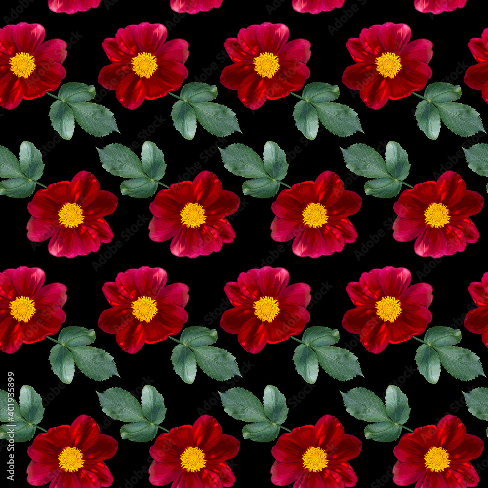 Seamless pattern with red Dahlia flowers and green leaves on black background. Endless floral texture. Raster colorful illustration. Seamless pattern with red Dahlia flowers and green leaves on black background. Endless floral texture. Raster colorful illustration.