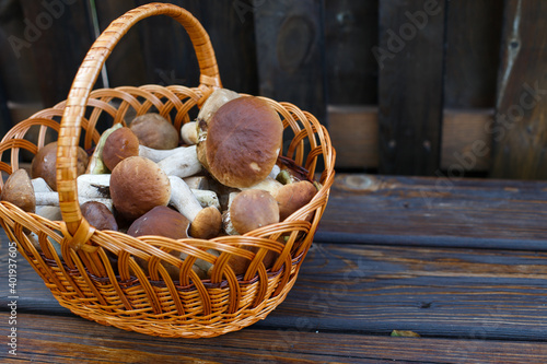Edible mushrooms porcini in the wicker basket on wooden background