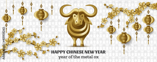 Happy Chinese New Year background with creative golden metal ox, sakura branches, hanging lanterns