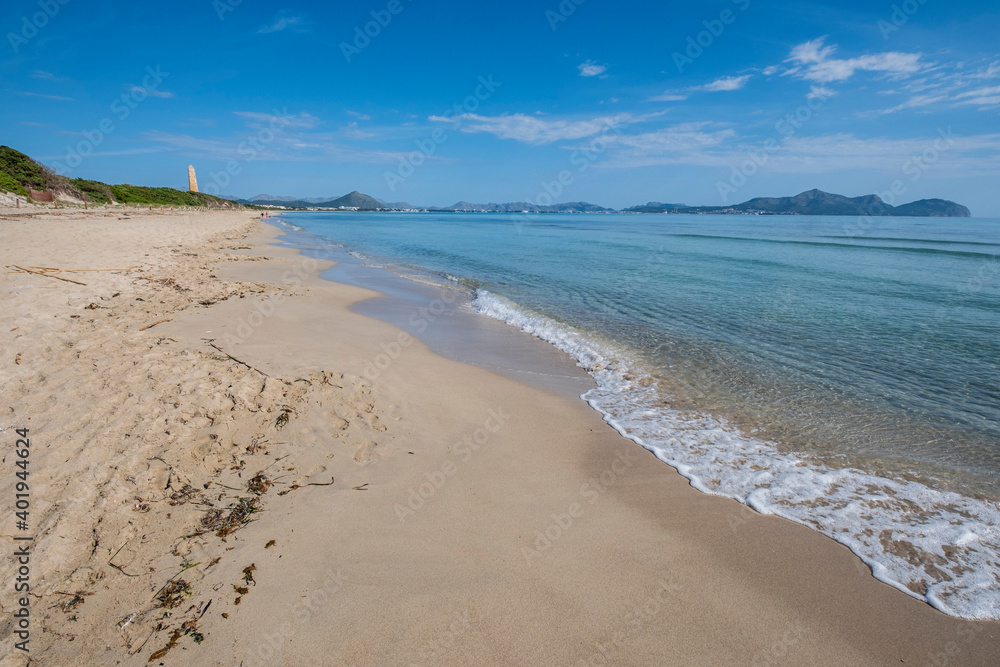 Es Comú, Àrea Natural d'Especial Interès, included within the Natural Park of s'Albufera, Muro, bahía de Alcúdia, Mallorca, Balearic Islands, Spain